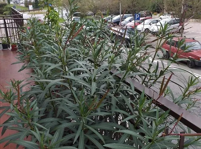 Centro Sesto Calende