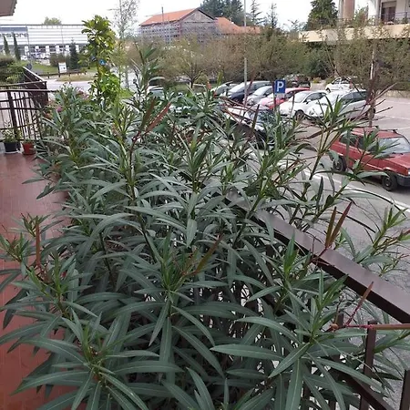 Centro ססטו קלנדה